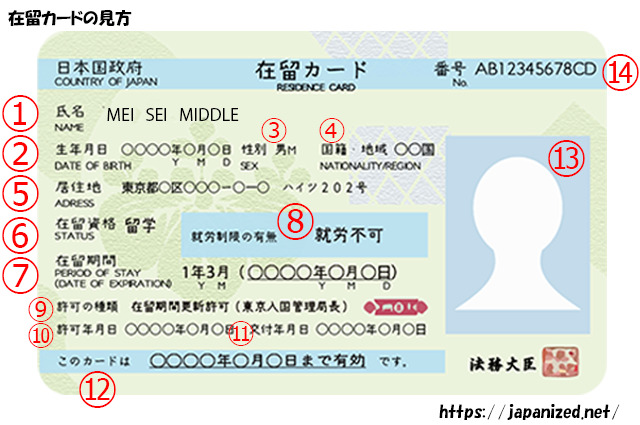【VISA】(外国人)在留カードを解説(Explain the residence card in JAPAN) | JAPA-NICE